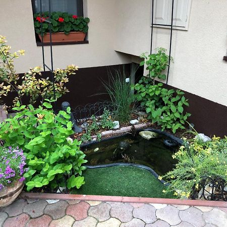 Milla Apartman Szentendre Ngoại thất bức ảnh